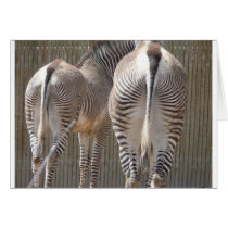 zebra butts cards by pinkypetals zebra butts cards