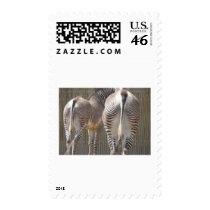 zebra butts postage