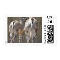 zebra butts postage