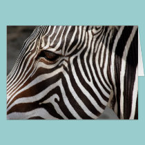 zebra cards