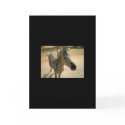 Zebra cards by oliveoil304 Zebra cards