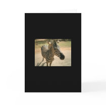 Zebra cards by oliveoil304 Zebra cards