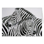 Zebra cards