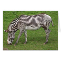 Zebra Card