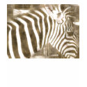 Zebra child's t-shirt by GardenDelightsArts Zebra child's t-shirt