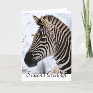 Zebra Season's Greetings Christmas Card
