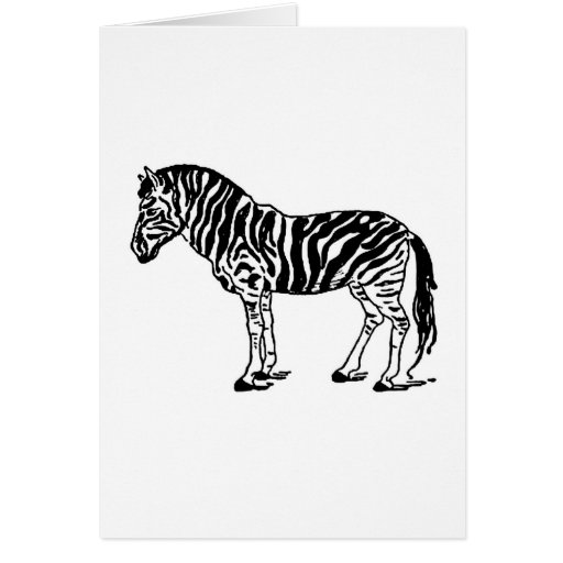 zebra cardstudio clipart - photo #42