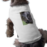 Zebra Dog Shirt