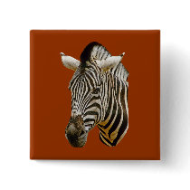 Zebra Drawing buttons