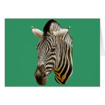 Zebra Drawing cards