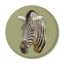 Zebra Drawing magnets