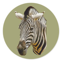 Zebra Drawing stickers