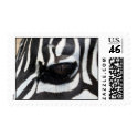 zebra eye 1 postage