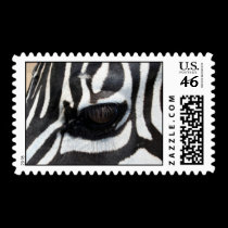 zebra eye 1 postage