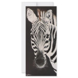 Zebra facing left rack cards