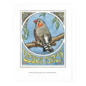 Zebra Finch Nouveau posters by itsupintheairart Zebra Finch Nouveau posters