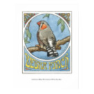 postcard - 