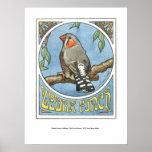 Zebra Finch Nouveau Print