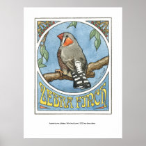 Zebra Finch Nouveau Print