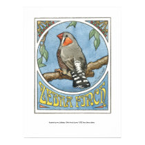 Zebra Finch Nouveau posters