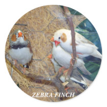 ZEBRA FINCH STICKERS by KABSANNIE ZEBRA FINCH STICKERS