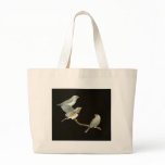 Zebra Finch Trio - Taeniopygia guttata bags