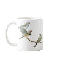 Zebra Finch Trio - Taeniopygia guttata Promo mugs
