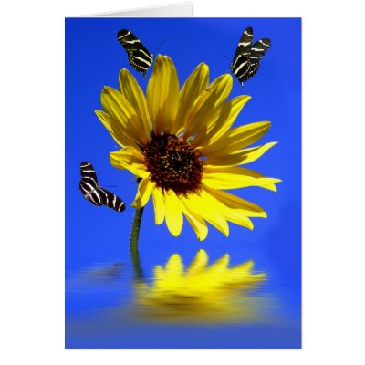 Zebra Flower Card by digitalmidge