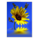 Zebra Flower cards