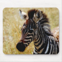 Zebra Foal wildlife mousepads by Rowood Zebra Foal wildlife mousepads