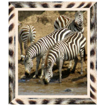Zebra framed zebras at the watering hole T-shirt