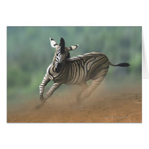 Zebra galloping over the desert landscape. card
