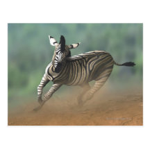 Zebra galloping over the desert landscape. post card