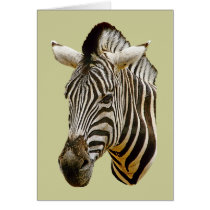 Zebra Greeting Card cards