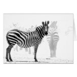 Zebra cards