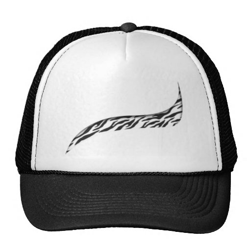 Zebra Hat