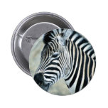 Zebra Head Pin