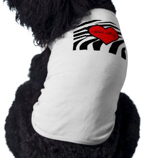 Zebra Heart - 