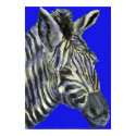 zebra in blue -  poster posters