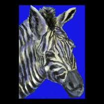 zebra in blue -  poster posters