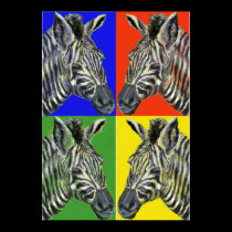 Zebra in four colors Poster posters
