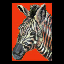 zebra in red -  poster posters