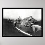 Zebra Jumping a Fence in Africa 1904 Poster