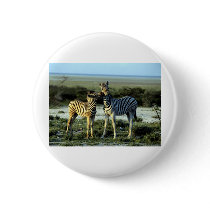 Zebra Kissing buttons