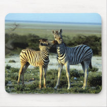 Zebra Kissing mousepads by animalworld Zebra Kissing mousepads