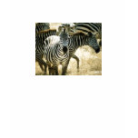 Zebra Ladies Spaghetti Strap Tank Top