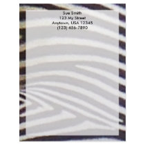 Zebra letterhead