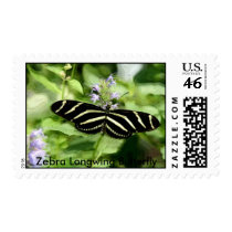Zebra Longwing Butterfly postage