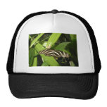Zebra Longwing Butterfly Trucker Hats