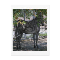Zebra Love Postcards